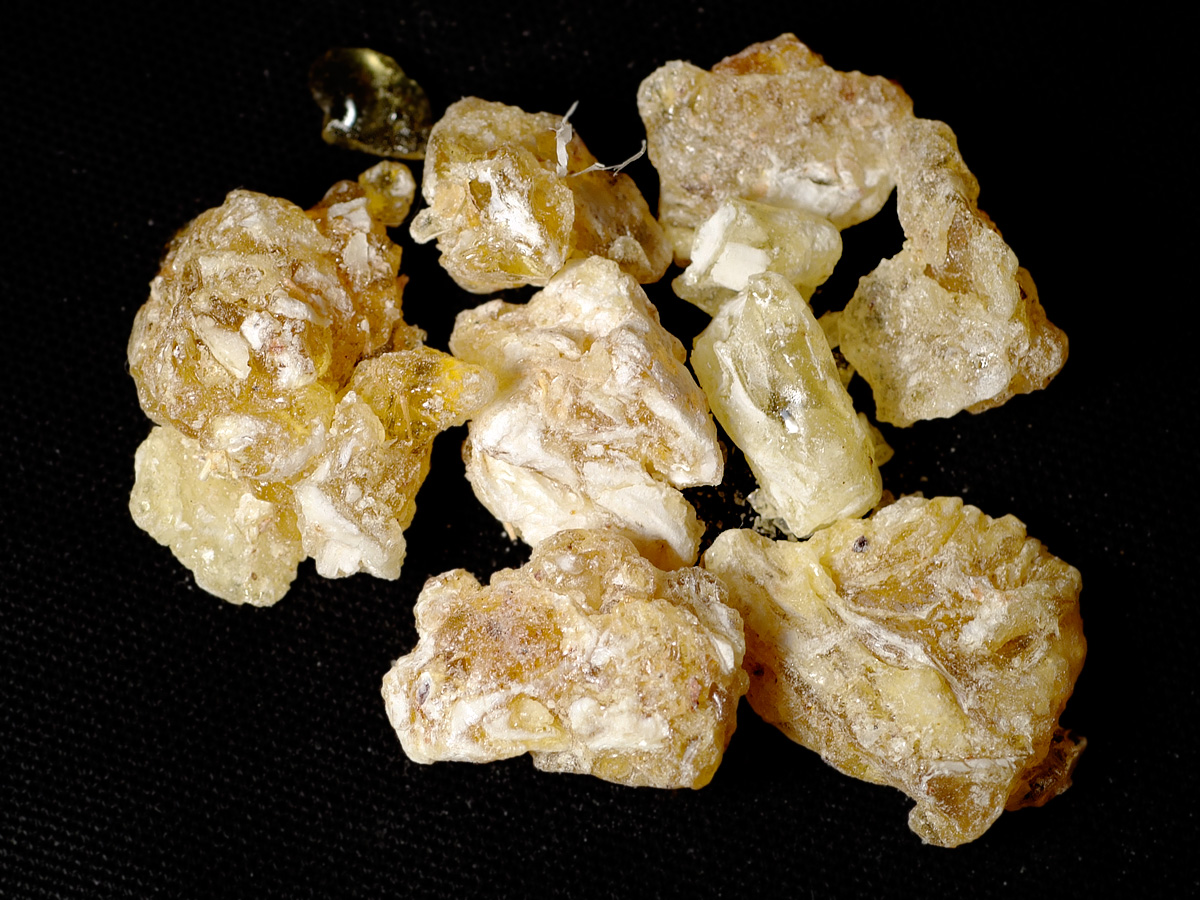 Which Frankincense is the best?